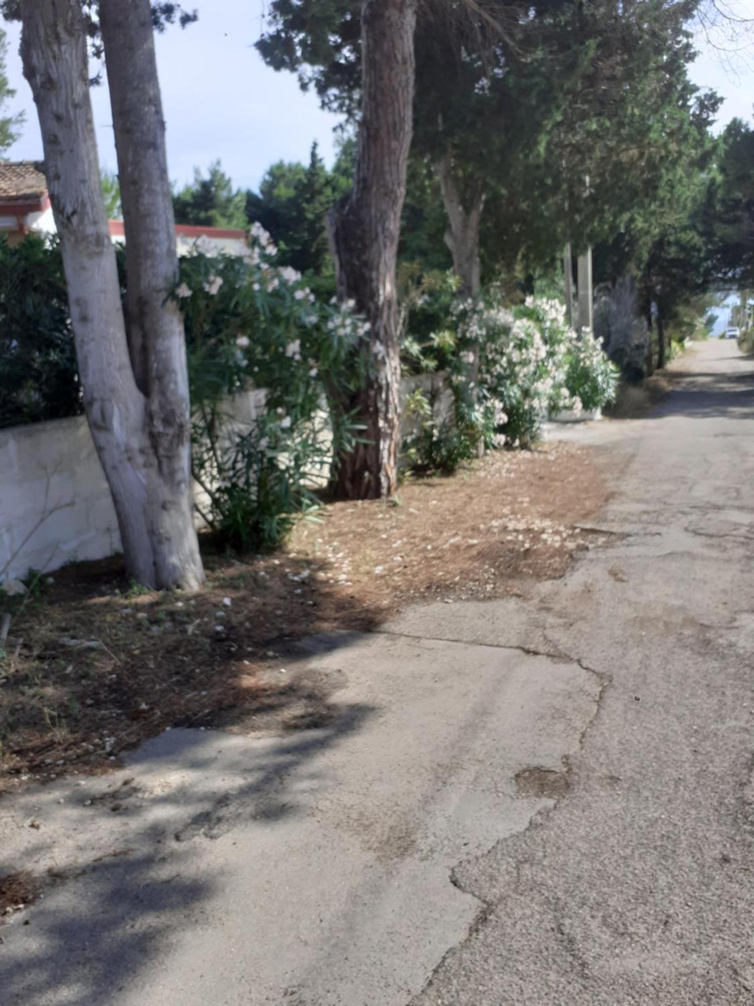 Villetta Dei Fiori, Vicino Spiaggia Di Punta Pizzo Gallipoli Exterior photo